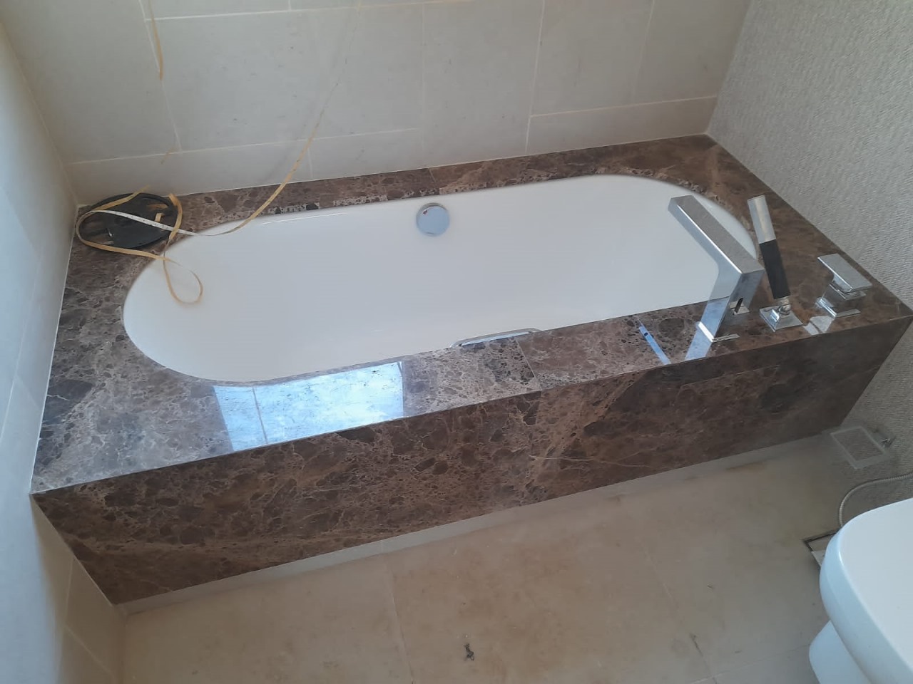 Main Project image